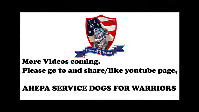 AHEPA Service Dogs for Warriors