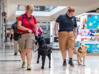 Patrick AHEPA, AHEPA Service Dog