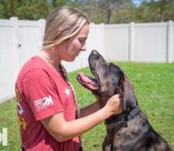 BEAR AHEPA, AHEPA Service Dog