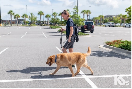 BEAR AHEPA, AHEPA Service Dog