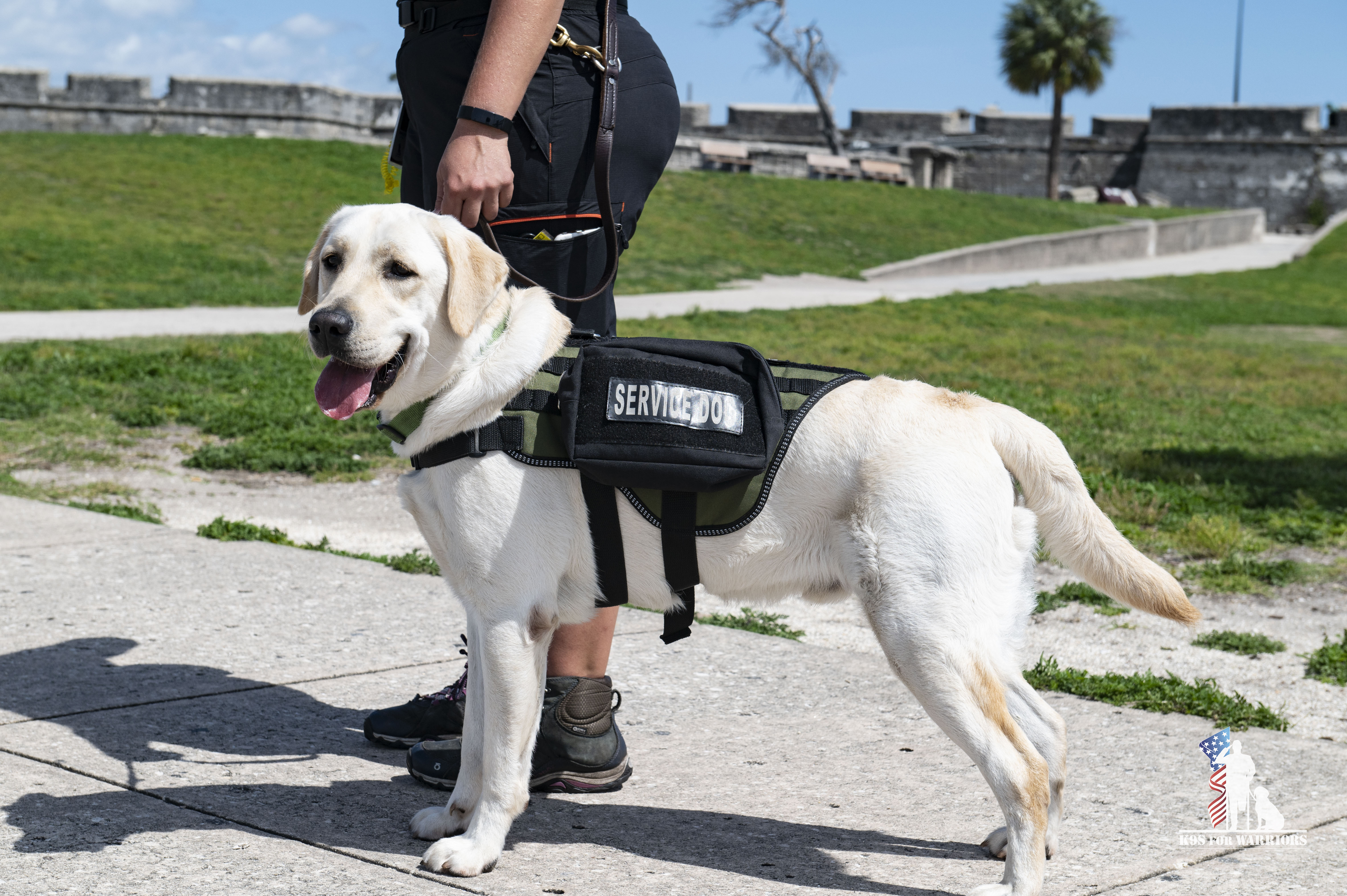 NICK S. AHEPA, AHEPA Service Dog