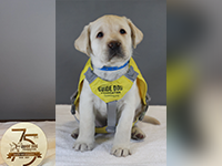 AHEPA Service Dogs For Warriors